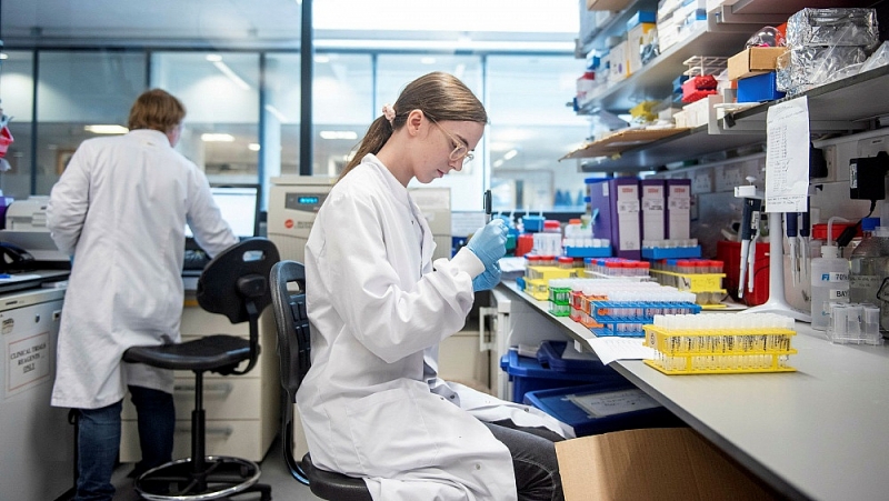 Vaccine Covid-19 của Đại học Oxford cho dấu hiệu triển vọng vaccine covid 19 cua dai hoc oxford cho dau hieu trien vong