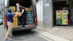 New Zealand hỗ trợ hơn 9 tấn hoa quả giúp TP. Hồ Chí Minh chống dịch Covid-19