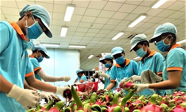 Tuần lễ Thanh Long Việt Nam diễn ra tại nhiều thành phố của Australia