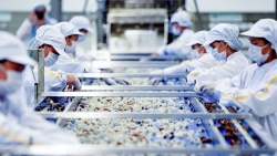 Để tăng xuất khẩu vào ASEAN, hàng hóa phải cập nhật quy tắc và thủ tục xuất xứ