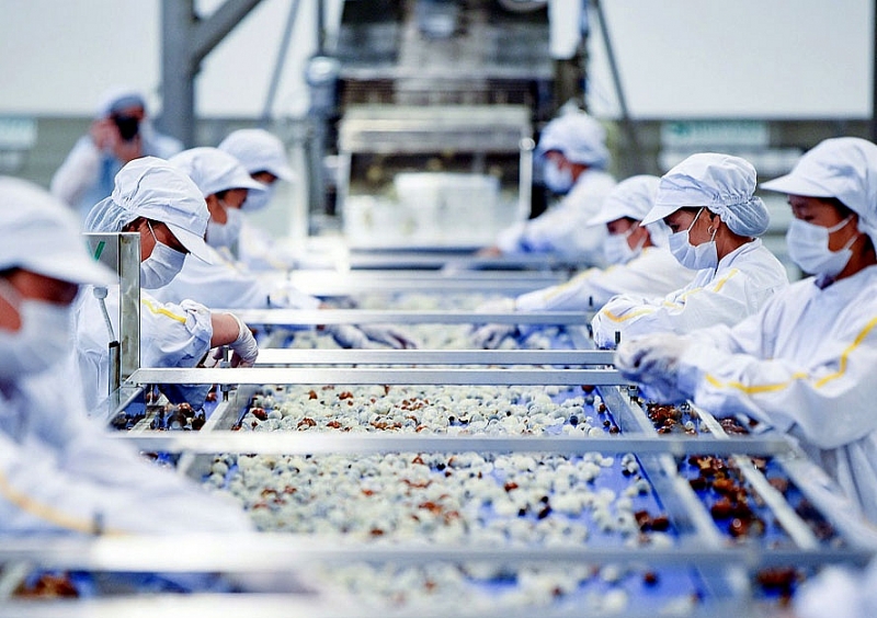 Để tăng xuất khẩu vào ASEAN, hàng hóa phải cập nhật quy tắc và thủ tục xuất xứ