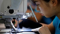 Covid-19 tiếp tục là 