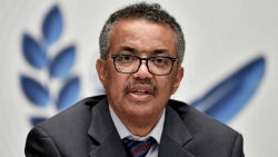 Lý do đằng sau việc WHO thúc giục điều tra thêm về nguồn gốc Covid-19