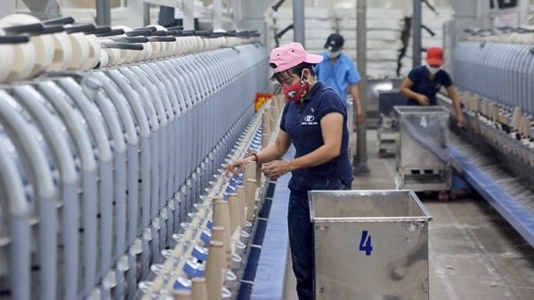 EVFTA như một trận bóng đá, để có trận cầu hay thì cầu thủ phải tốt