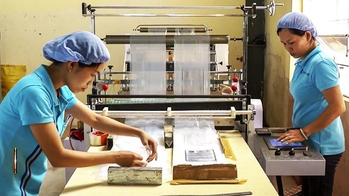 Hoa Kỳ hỗ trợ, tạo sức cạnh tranh cho ngành bao bì Việt