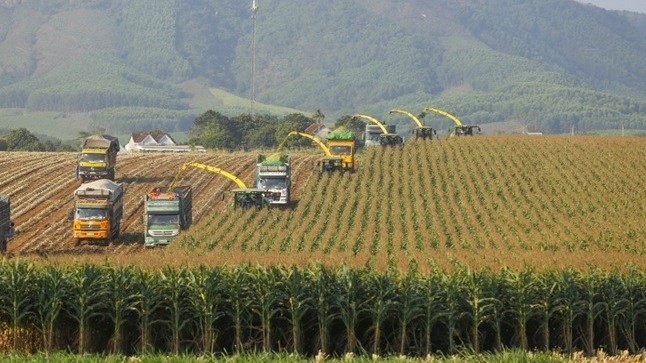 Cụm trang trại bò sữa TH: 'Nâng bước' nền nông nghiệp xanh