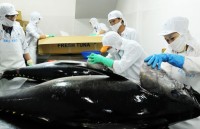 xuat khau ca ngu tang truong an tuong