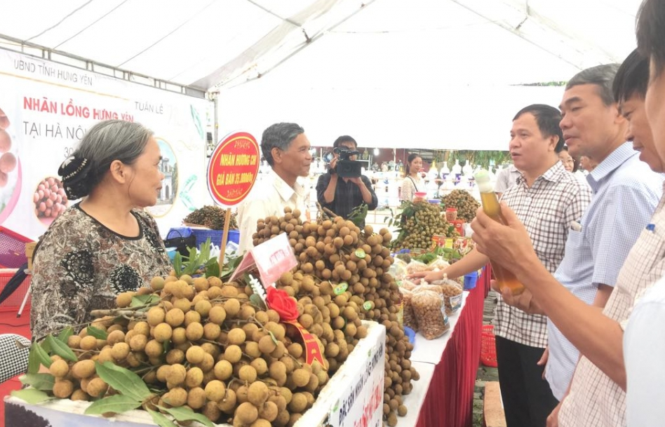 Khai mạc Tuần lễ Nhãn lồng Hưng Yên tại Hà Nội