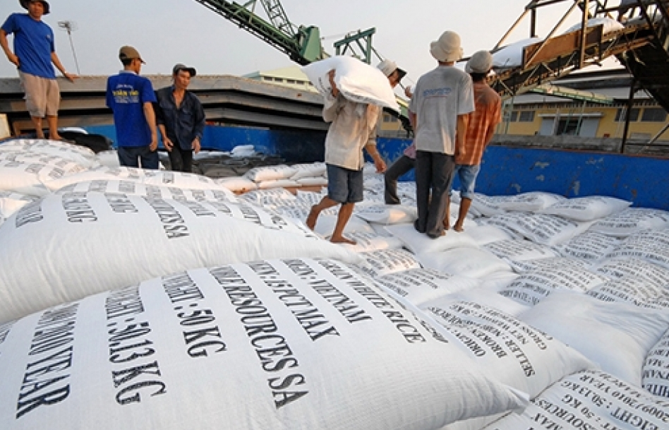 Xuất khẩu gạo có sự chuyển hướng mạnh về cơ cấu