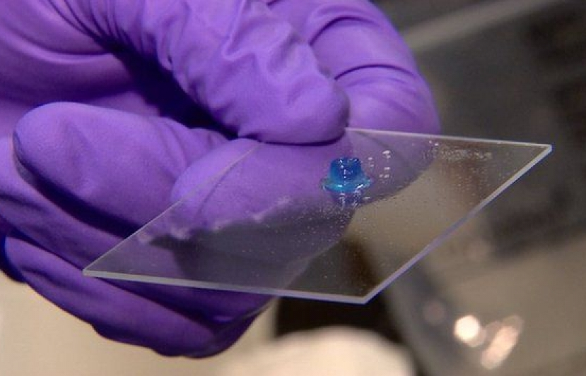 Chuyên gia Nhật Bản giới thiệu liệu pháp điều trị ung thư bằng tế bào gốc