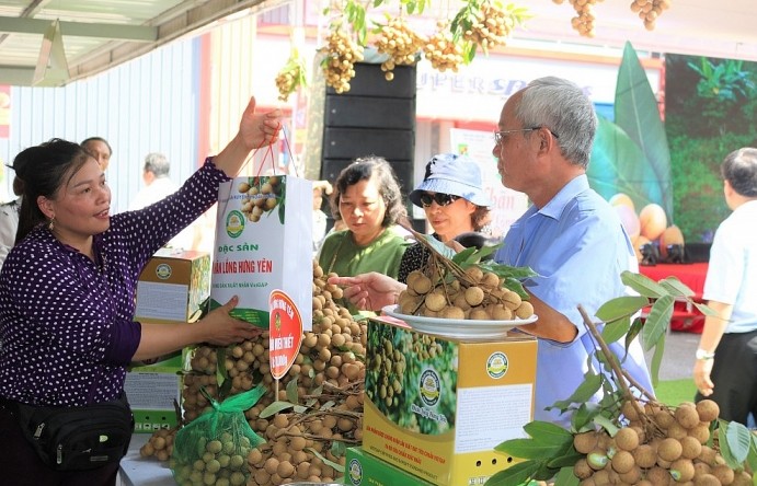 “Nhãn lồng Hưng Yên hương vị tiến Vua” đã có mặt tại Hà Nội