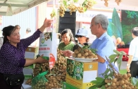 tuan hang dac san dong thap tai tp ho chi minh