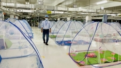 Bộ Công Thương gỡ khó phương án '3 tại chỗ' cho doanh nghiệp