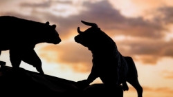 Nhận định thị trường chứng khoán ngày 20/8 - Ôm cổ chuẩn, ngại chi thị trường