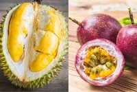 Nông sản Việt nhận loạt tin vui từ Trung Quốc