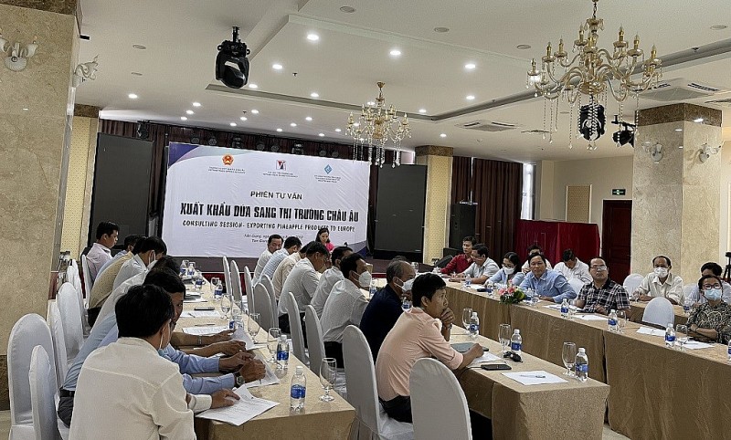 Sau vải, thanh long, xoài, trái cây nào của Việt Nam có tiềm năng 'xin visa' sang châu Âu? Sau vải, thanh long, xoài, trái cây nào của Việt Nam có tiềm năng 'xin visa' sang châu Âu?