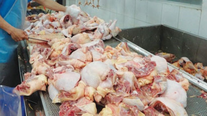 Gà Việt Nam sắp có mặt tại thị trường Nhật Bản