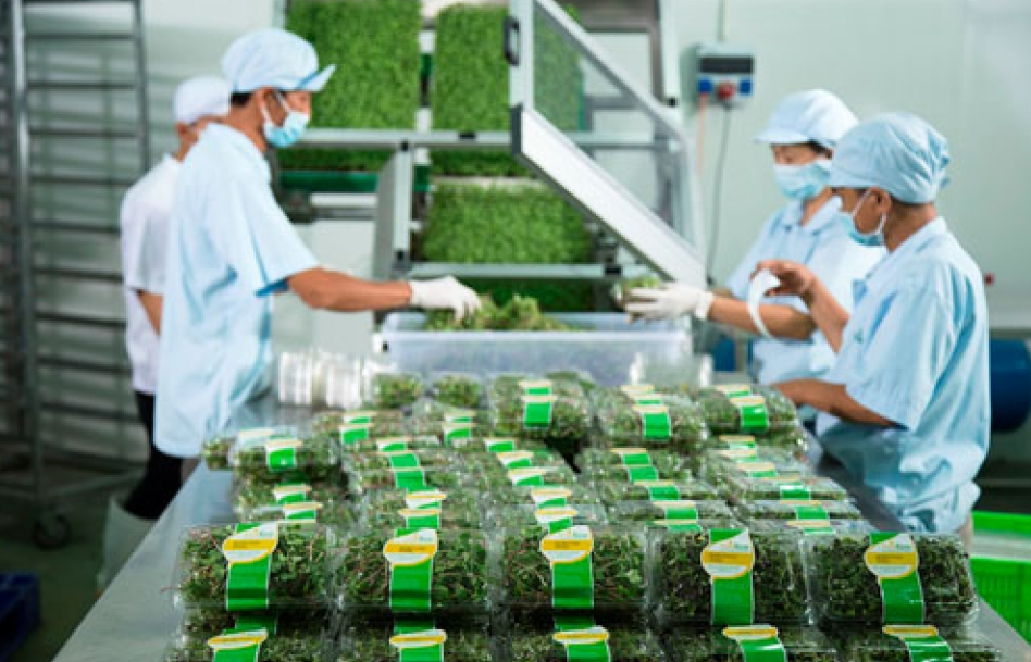 Nông nghiệp thắng lớn nhờ Nghị quyết “tam nông”