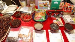 Nông sản Việt 'góp mặt' tại Hội chợ Ớt quốc tế Rieti, Italy