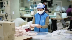 Gam màu xám của kinh tế Việt Nam cuối năm 2021