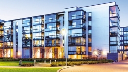 Mùa săn mồi của 'kền kền' tài chính