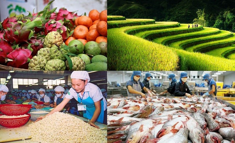 Đại sứ Việt Nam tại Nam Phi: