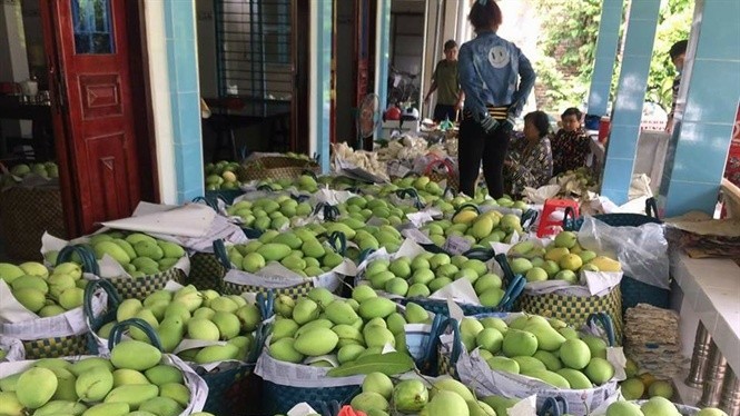 Đồng Tháp cung ứng 'combo' nông sản nhanh, chất lượng đến người tiêu dùng