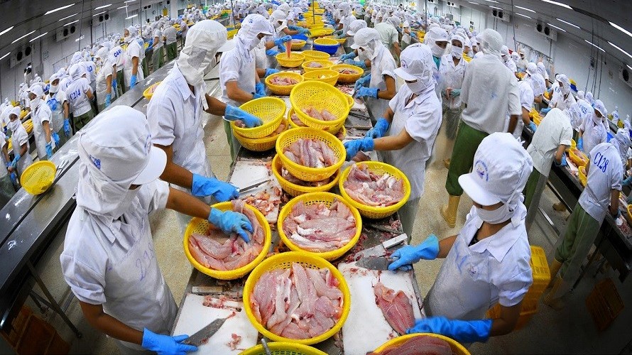 Doanh nghiệp thủy sản chật vật duy trì sản xuất