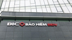 Thêm 'cánh cửa' cho vốn ngoại vào bảo hiểm