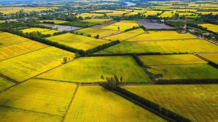 Ngày Việt Nam tại Thụy Sỹ năm 2021 hé lộ những điểm không thể bỏ lỡ tại Việt Nam