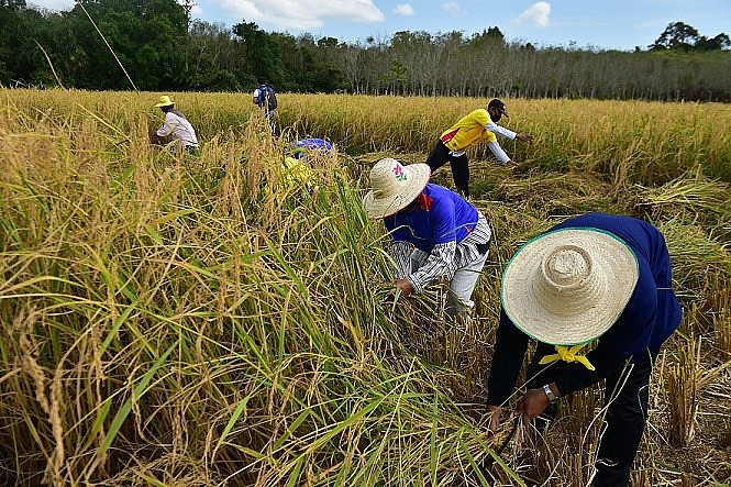 Xuất khẩu ngày 2-4/9: Việt Nam 'ghi điểm' tại thị trường UAE; dệt may xuất siêu trên 12 tỷ USD