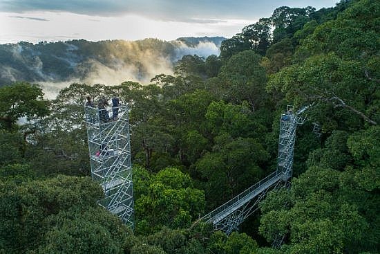 Du lịch Brunei Khám phá Brunei qua 5 điểm đến thú vị