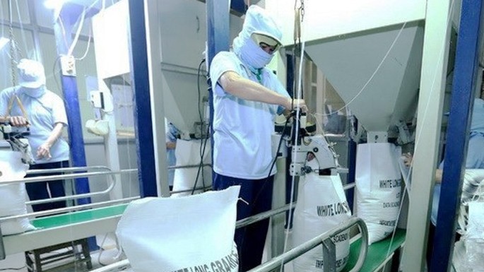 Xuất khẩu gạo sang châu Phi: Giải bài toán thị hiếu người tiêu dùng