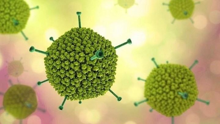 Số trẻ nhập viện do virus Adeno tăng nhanh gây lo ngại, cha mẹ cần lưu ý những gì?