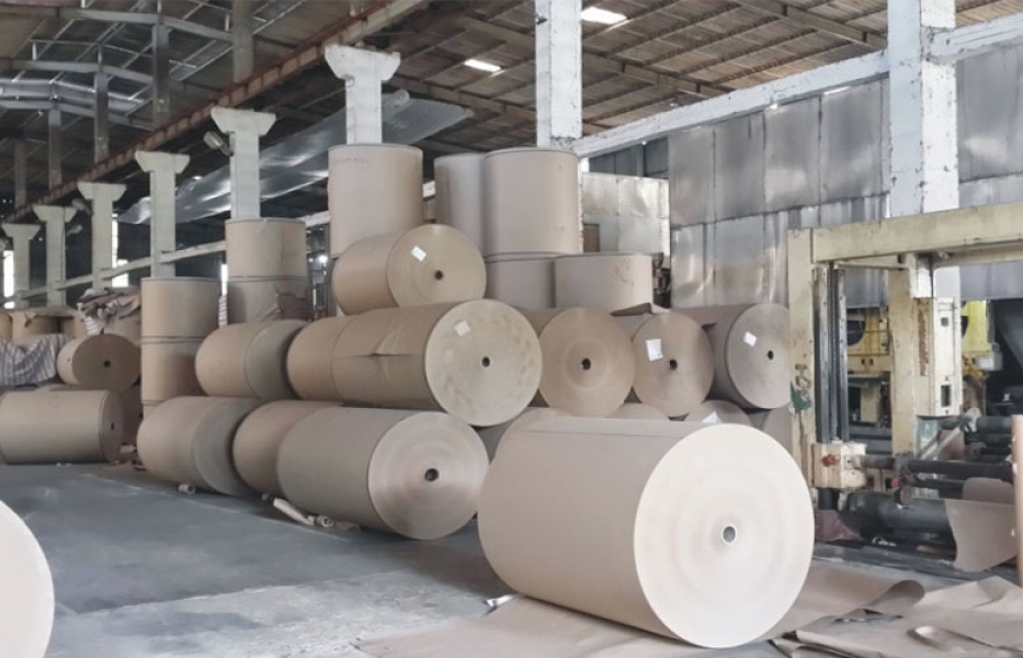 Tìm chính sách phù hợp phát triển bền vững ngành giấy