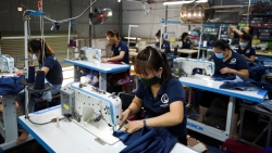 WTO: Thương mại toàn cầu sẽ tăng trưởng ấn tượng hậu đại dịch, châu Á vẫn là 'ngôi sao'