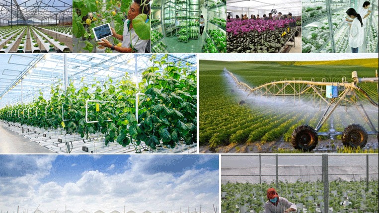 Australia hỗ trợ Việt Nam đào tạo chuyên gia nông nghiệp