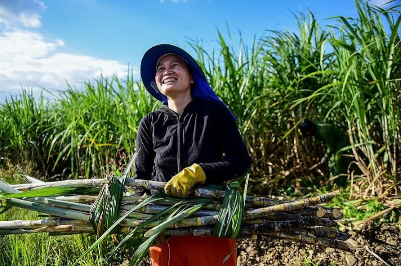 Việt Nam – Đức chung tay phát triển năng lượng bền vững