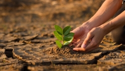 ADB nâng tham vọng tài trợ khí hậu giai đoạn 2019-2030 lên 100 tỉ USD