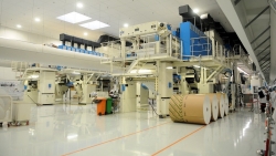 Ngành bao bì Việt Nam hấp dẫn vốn ngoại