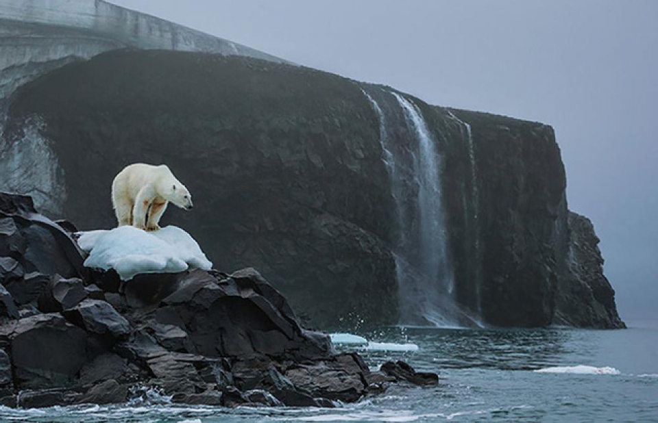 Trái Đất không còn nhiều thời gian để tránh thảm kịch huỷ diệt trai dat khong con nhieu thoi gian de tranh tham kich huy diet