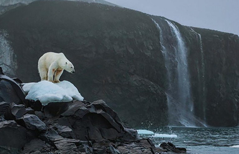Trái Đất không còn nhiều thời gian để tránh thảm kịch huỷ diệt