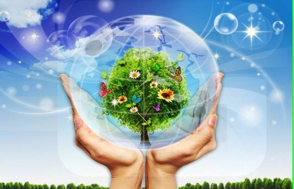 Doanh nghiệp Việt Nam vẫn coi nhẹ phát triển bền vững