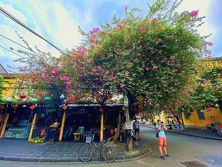 Địa điểm check in 'sống ảo' nổi tiếng ở Hội An tan hoang sau bão Địa điểm check in 'sống ảo' nổi tiếng ở Hội An tan hoang sau bão