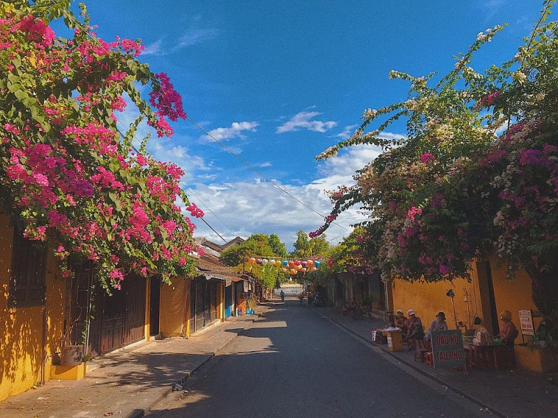 Địa điểm check in 'sống ảo' nổi tiếng ở Hội An tan hoang sau bão Địa điểm check in 'sống ảo' nổi tiếng ở Hội An tan hoang sau bão