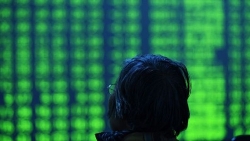 Diễn biến thị trường chứng khoán ngày 3/11: Xanh nhẹ nhưng Midcap hút tiền