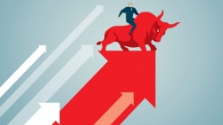 Diễn biến thị trường chứng khoán ngày 20/11: Rất bền vững và không hề hưng phấn