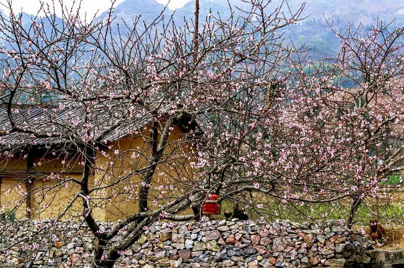 4 cung đường du lịch mùa Đông chỉ nhắc thôi cũng phải xuýt xoa vì quá đẹp