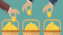 Tại sao phải đa dạng hóa danh mục đầu tư?