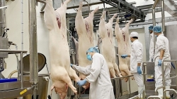 Xuất khẩu ngày 29/10-1/11: Đường nhập khẩu 'né thuế' ồ ạt tràn vào Việt Nam; Cảnh báo sớm, giảm thiểu rủi ro cho doanh nghiệp xuất khẩu